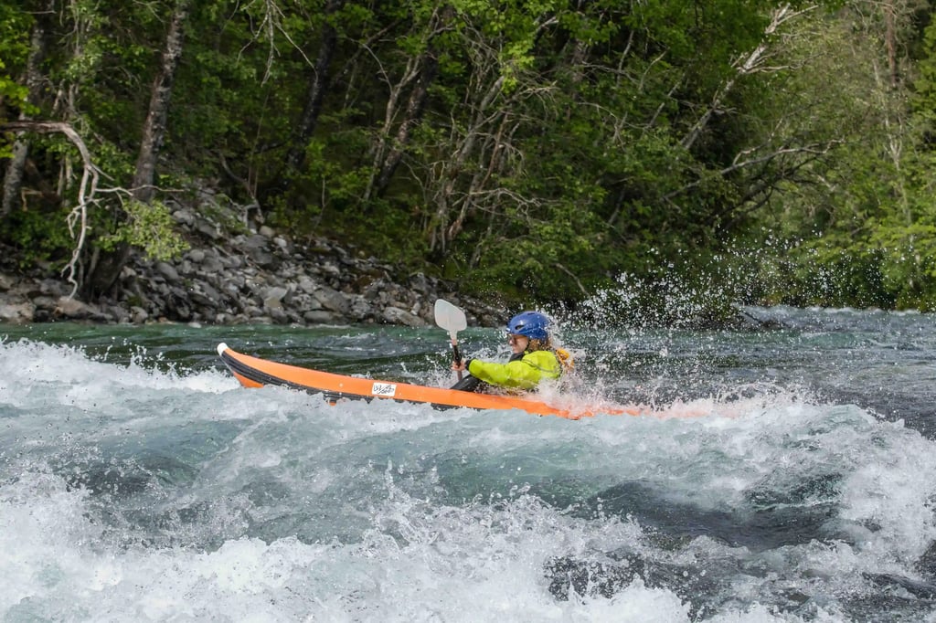 RIVER DUCKIE TOUR 2025 (3)