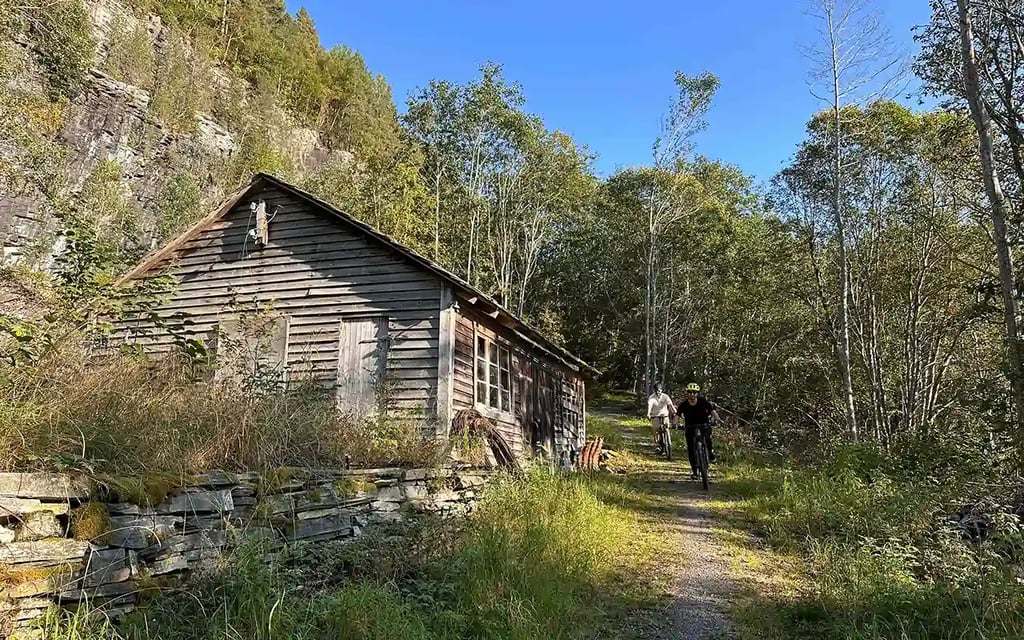 Mountain bike tour in voss forest 5