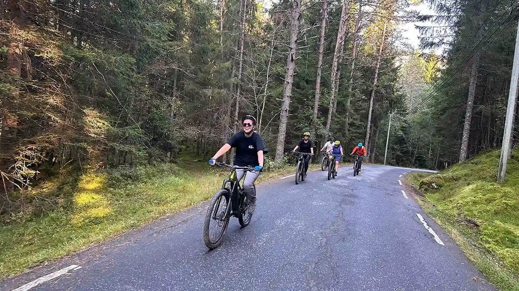 Mountain bike tour in voss forest 4