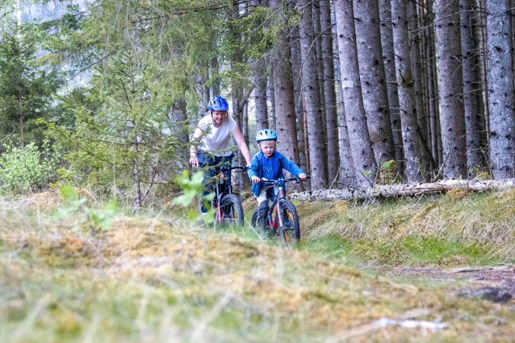 MOUNTAIN BIKE IN VOSS 2025  (1)