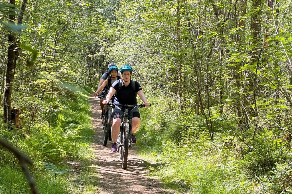 MOUNTAIN BIKE IN VOSS 2025  (10)