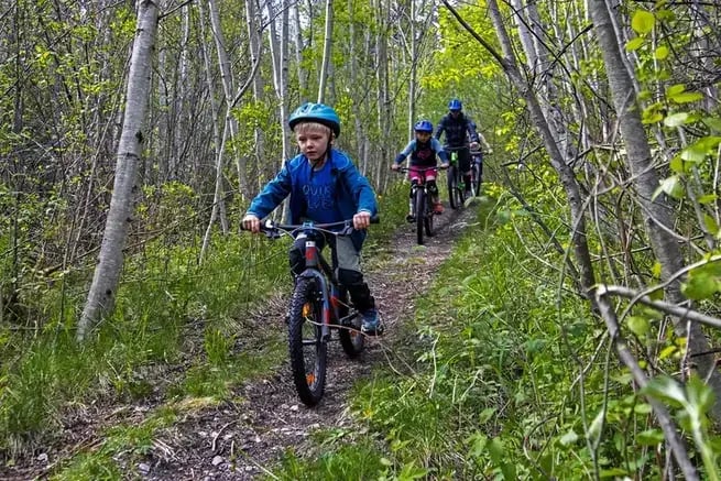 Mountain bike tour in voss forest 1