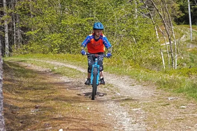 Mountain bike tour in voss forest 2
