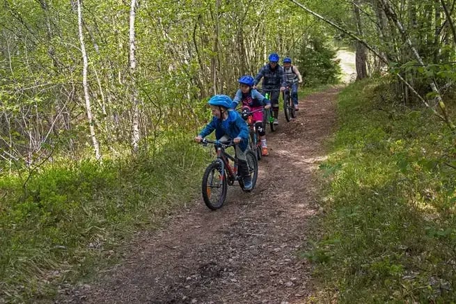 Mountain bike tour in voss forest 3