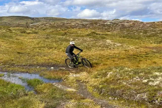 Mountain bike da montanha ao fjord