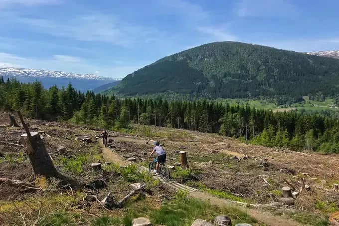 Mountain bike a grande colina