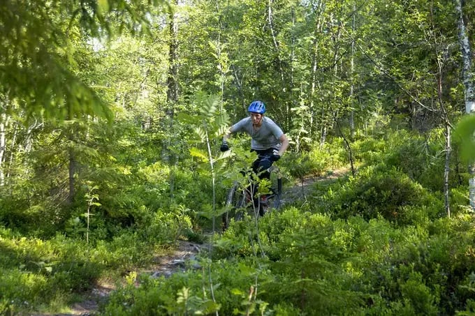 Mountain bike a grande colina