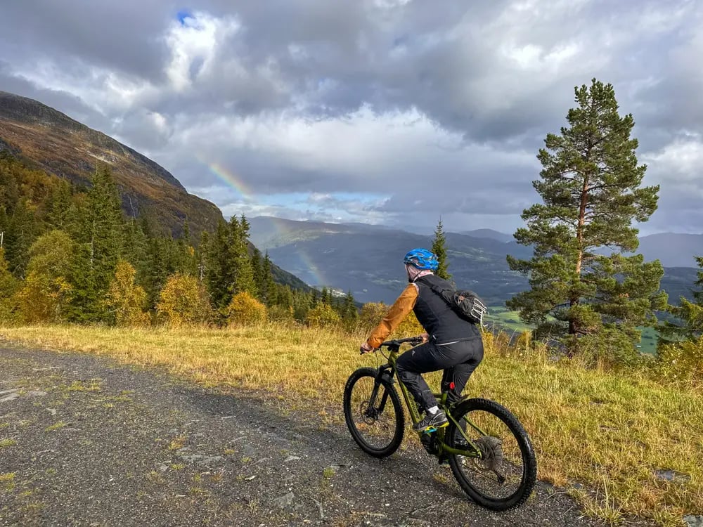 Excursão guiada E-MTB em Voss, Noruega