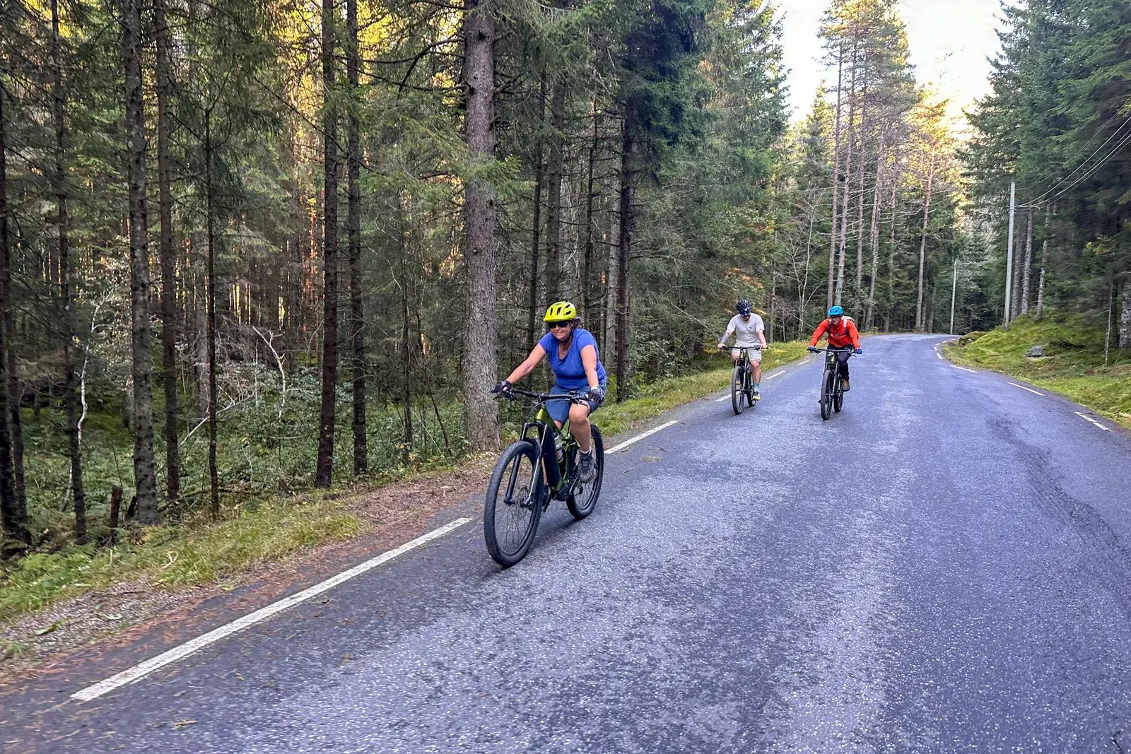 Group on a road e-bike day tour in the Voss area