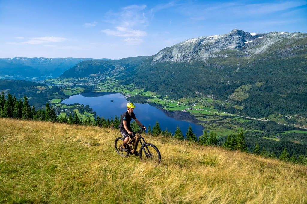 E_MTB_2025_SONY