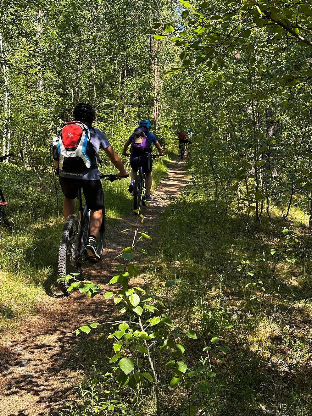Percurso Feminino De Mountain Bike