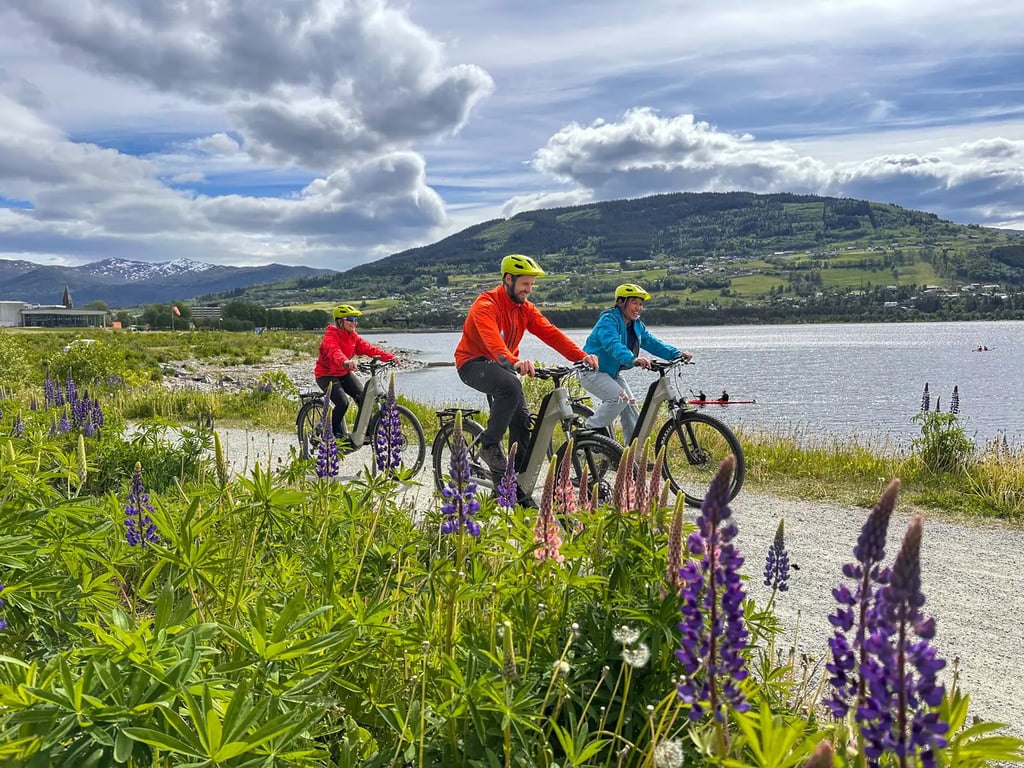 E-bike around Lake Vangsvatnet