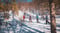 1_Gargia Lodge - Trugetur-3__Gargia Lodge - Trugetur-3