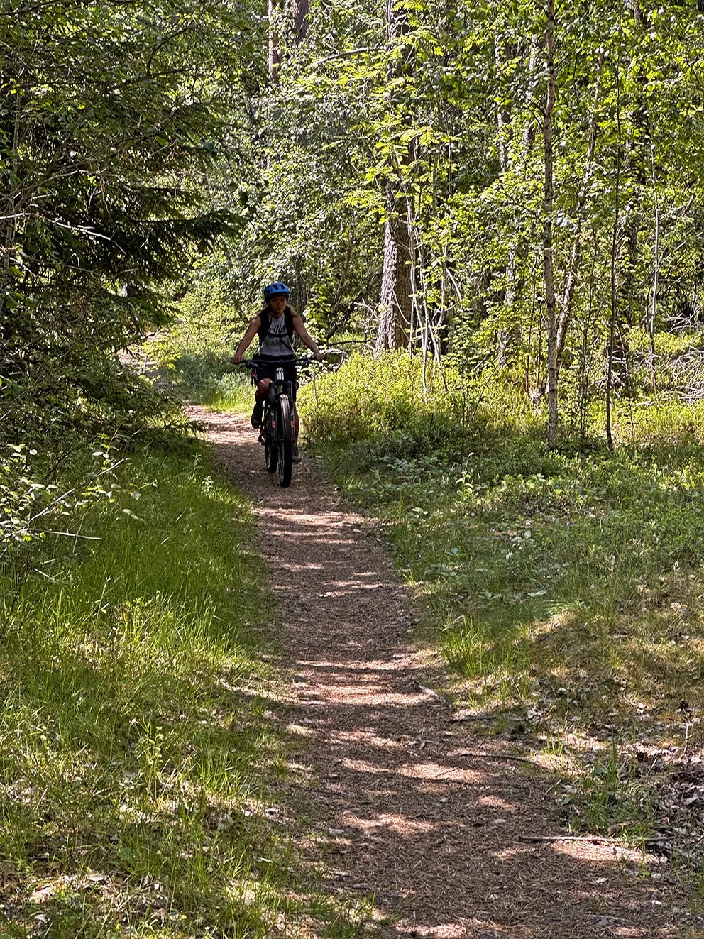 Mountain bike tour in norway