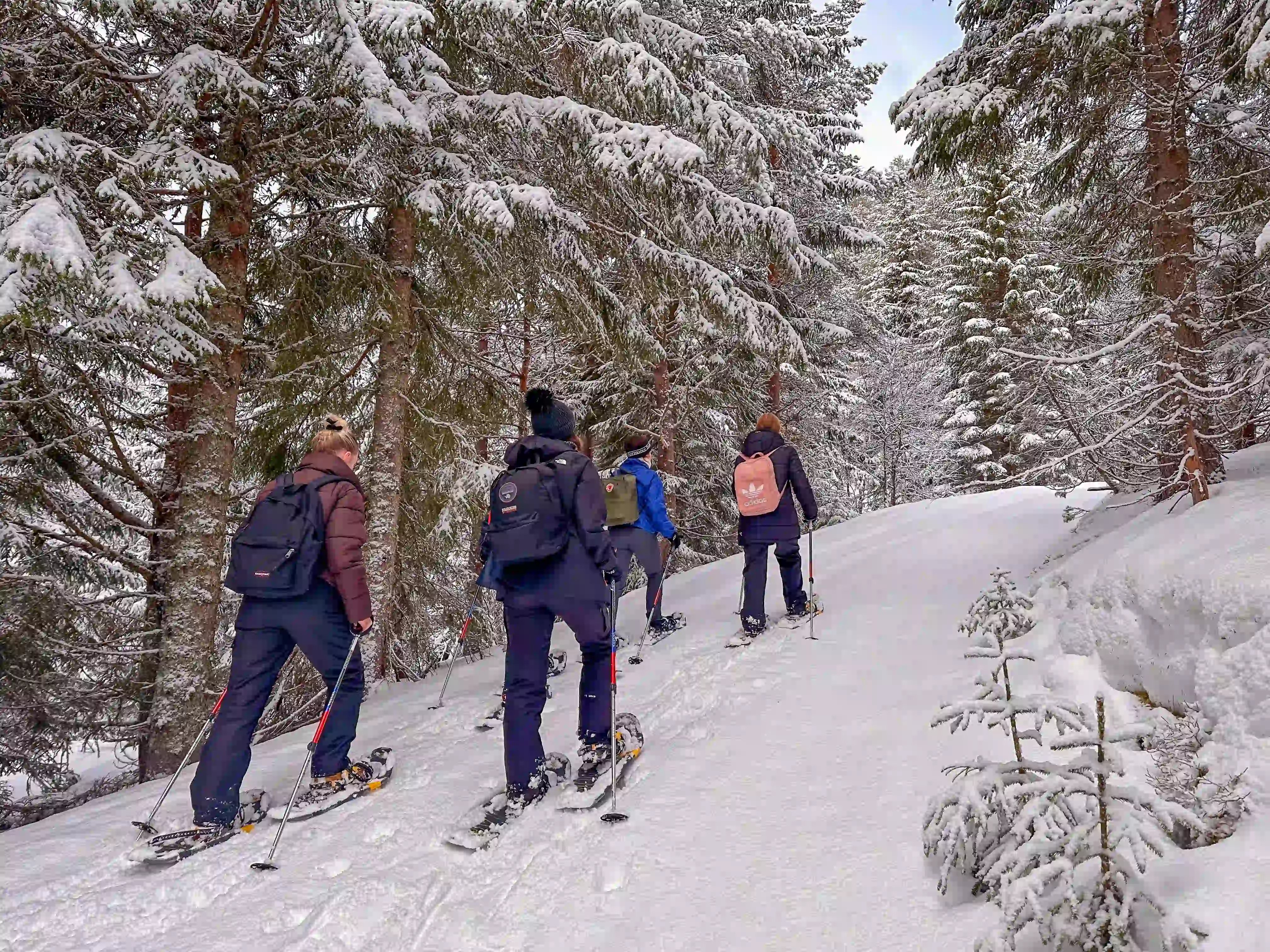 Group of adventurers snowshoeing in the area around Voss, Norway, on a guided tour from Bergen