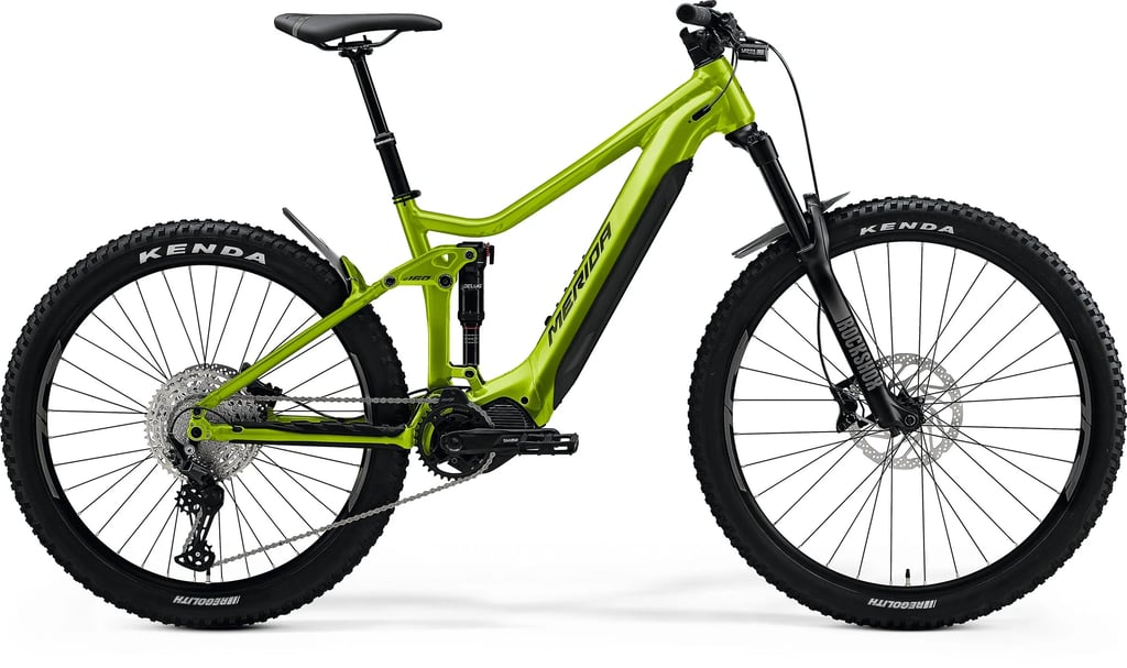 E-MTB FULL SUSPENSION (2)