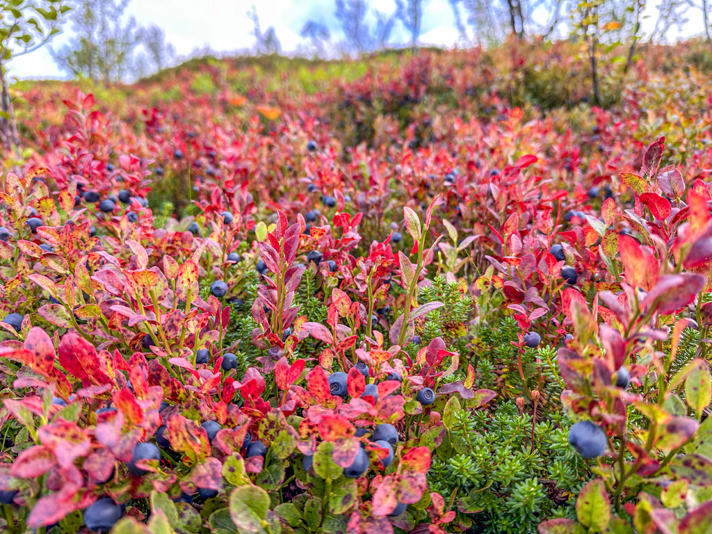 ESCAPADE D'AUTOMNE DE 3 JOURS