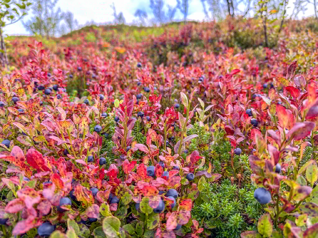 3-DAY AUTUMN GETAWAY-20