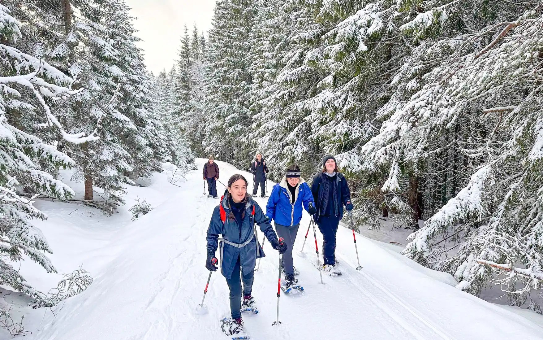 Group of tourists on snowshoes at Voss, Norway