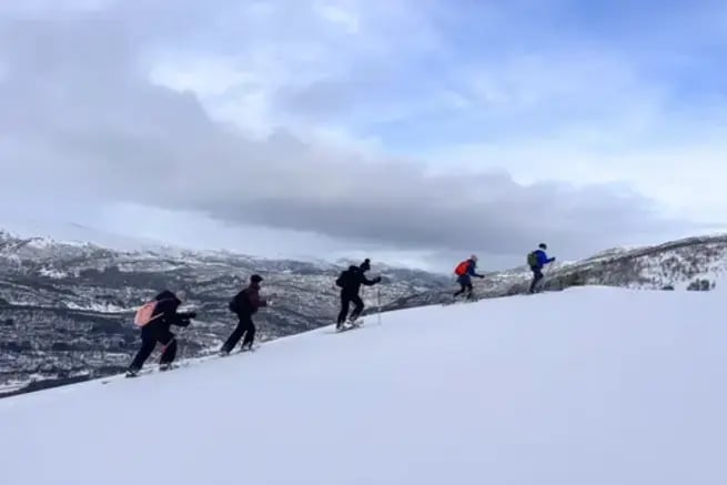 Snowshoes tour