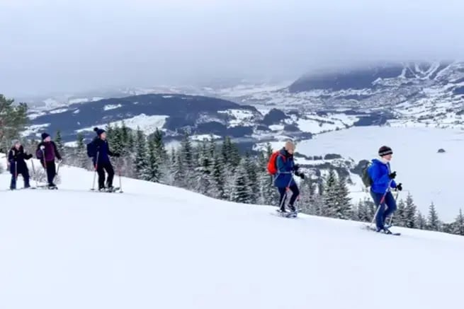 Snowshoes tour