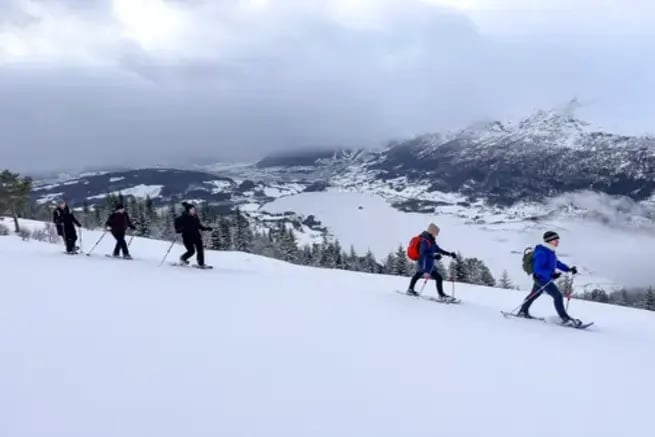 Snowshoes tour