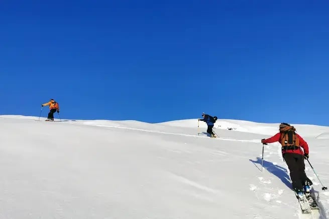 PAYS DE LA BANQUISE