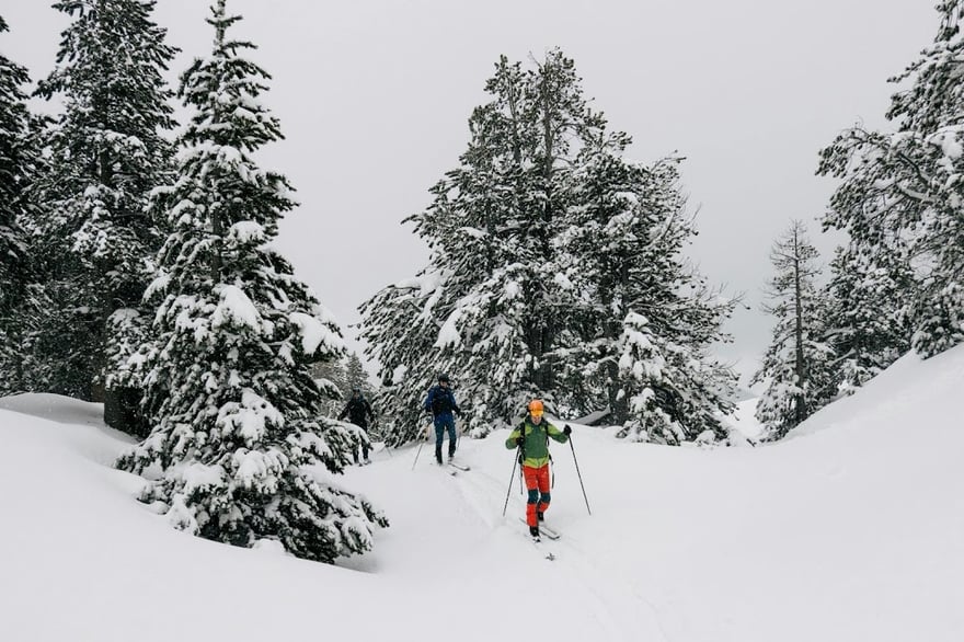 Cross-Country Skiing