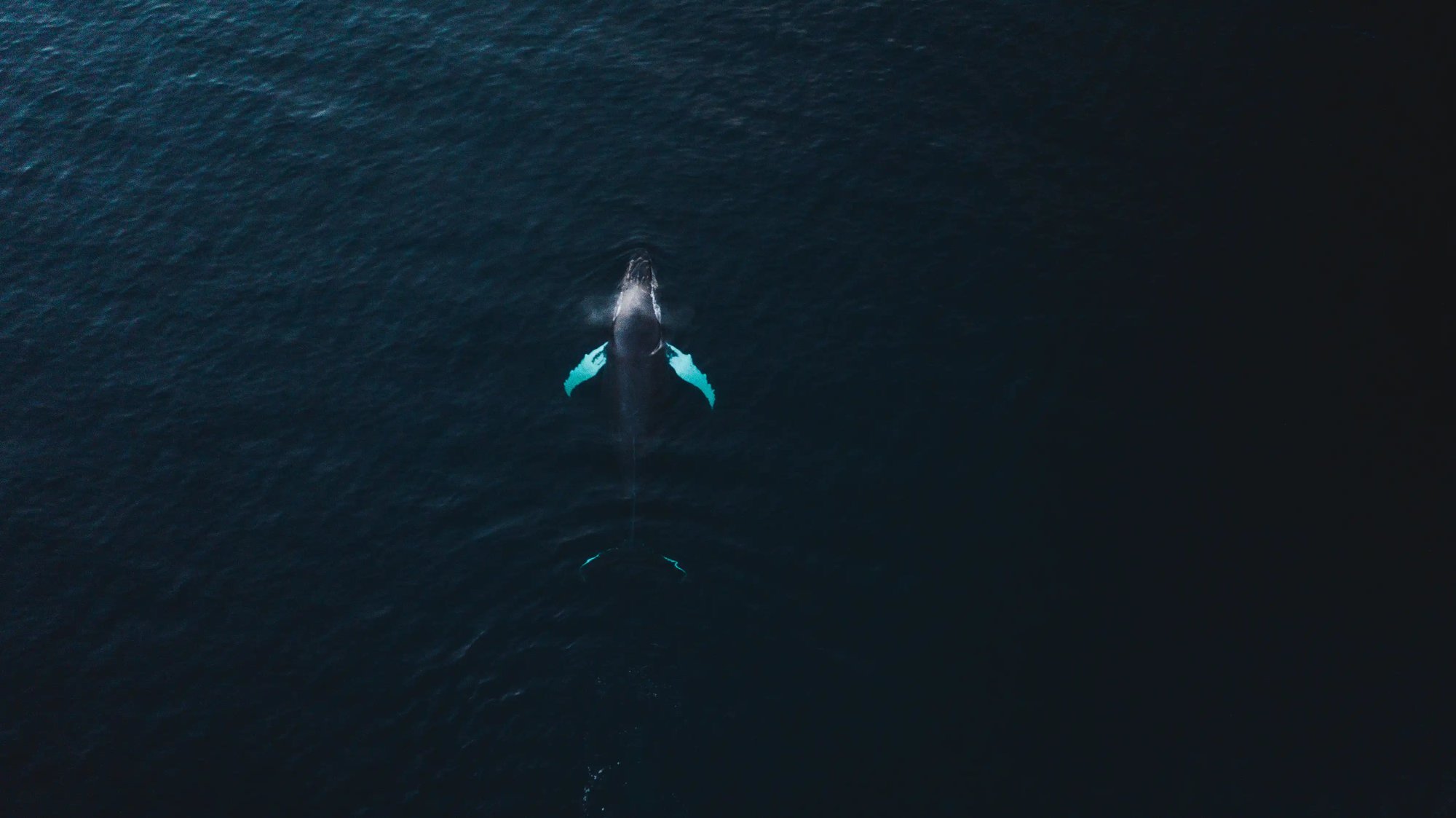 DJI_0015