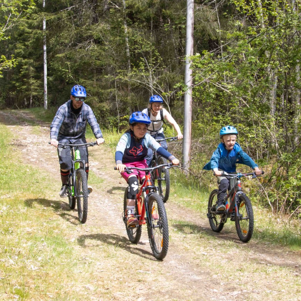 Mountain-bike-in-voss