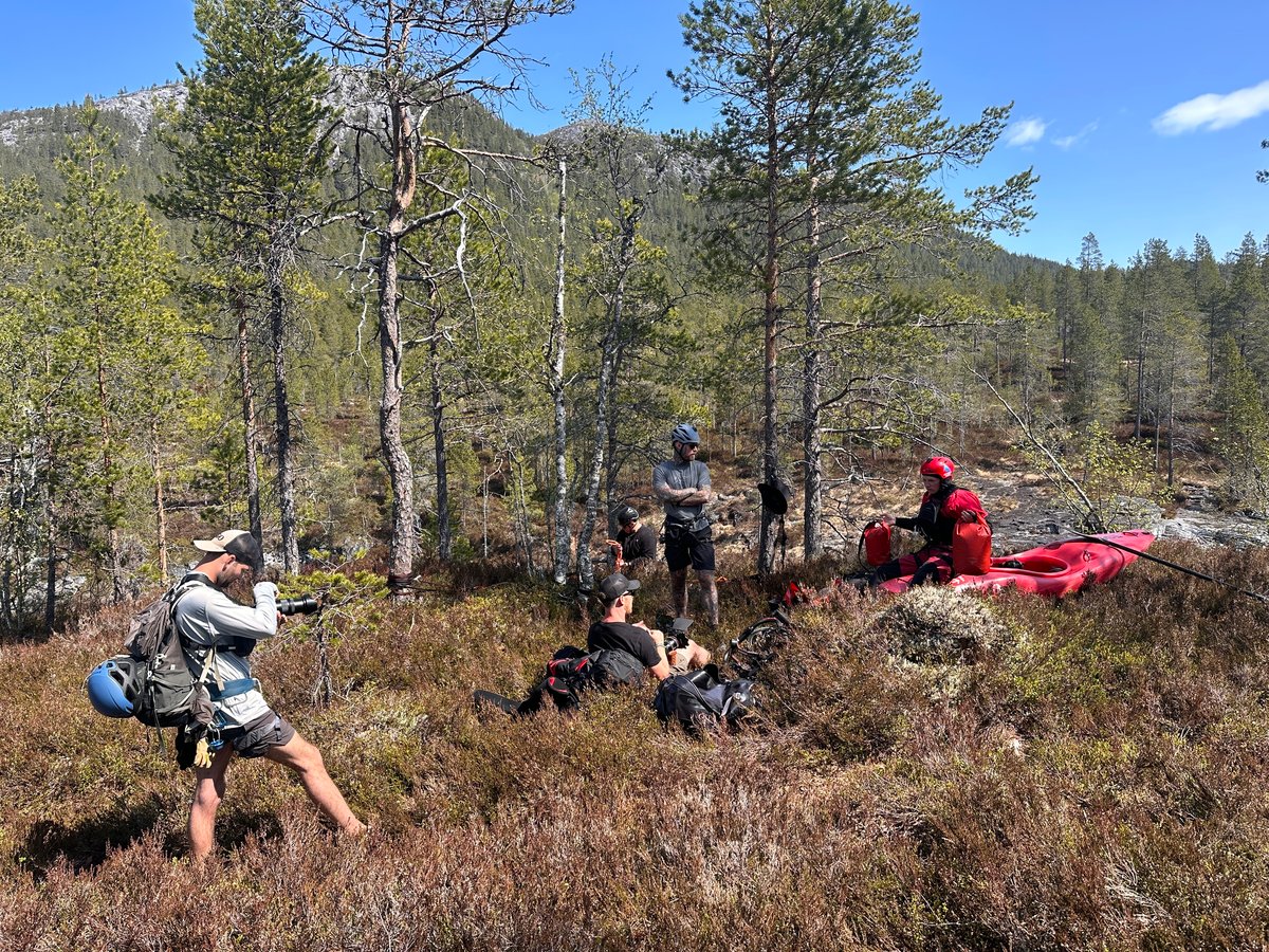 A professional photo session in the woods near Voss, Norway