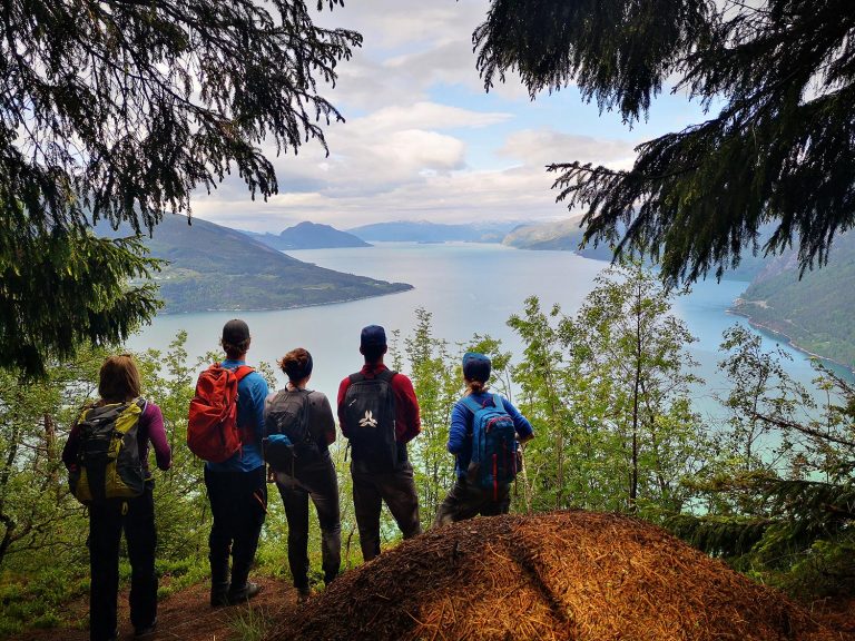 Hikers on a guided tour exploring landscapes above Hardangerfjord, Norway