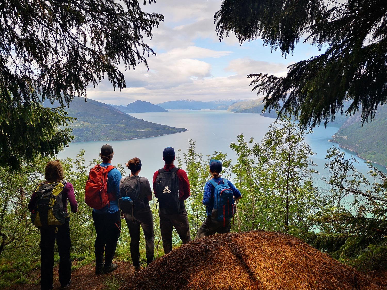 Hikers overlooking the fjords from a hidden vista near Hardangerfjord, Norway