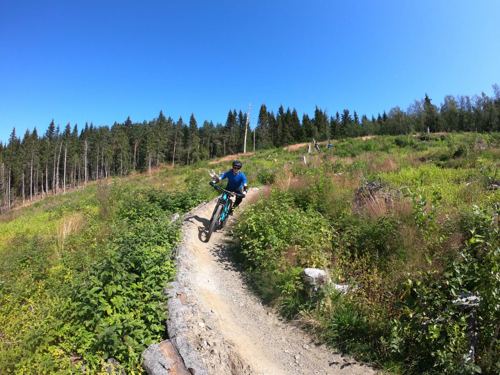 dowhill mountain biking