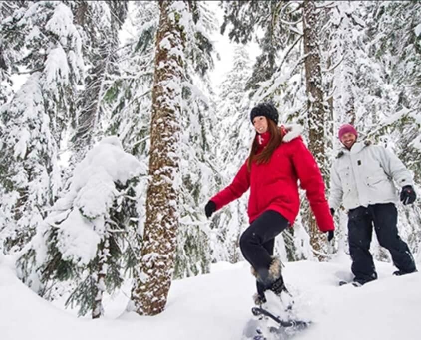 snowshoes tour