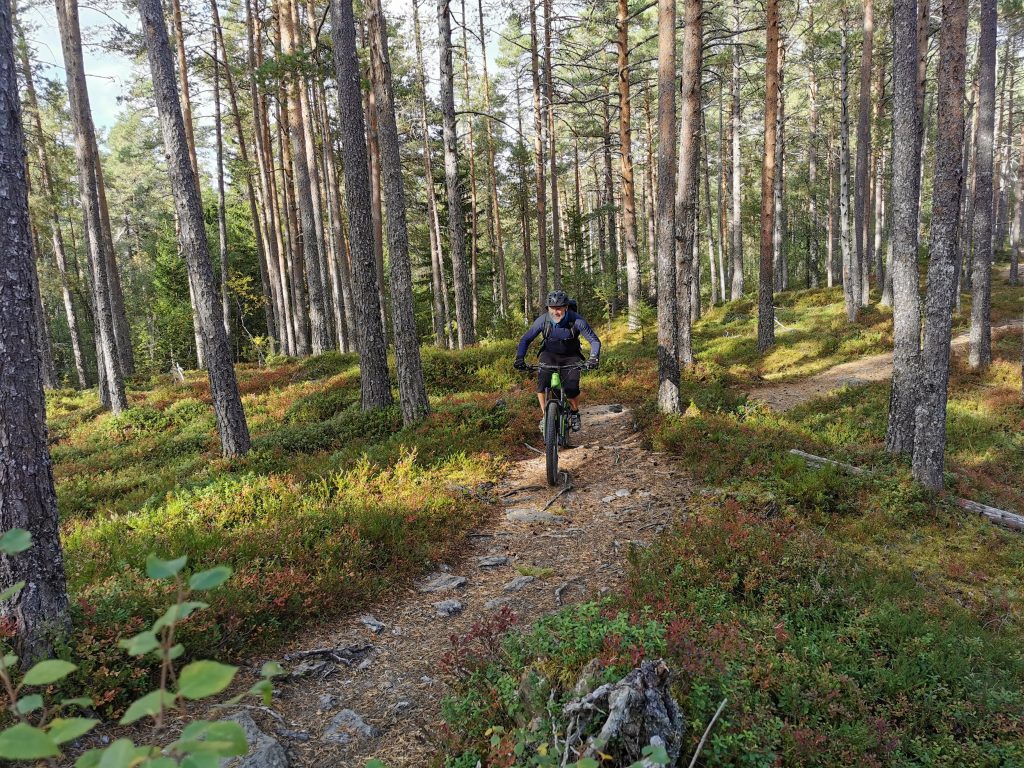 visit norway