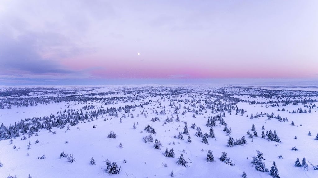 Things to Do in Norway in Winter