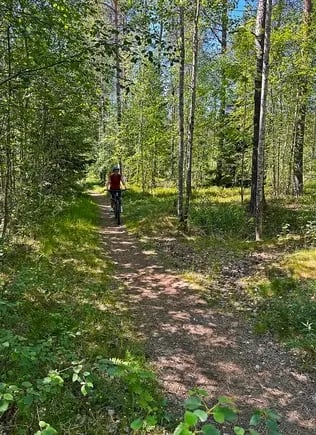 Mountain Bike in Voss