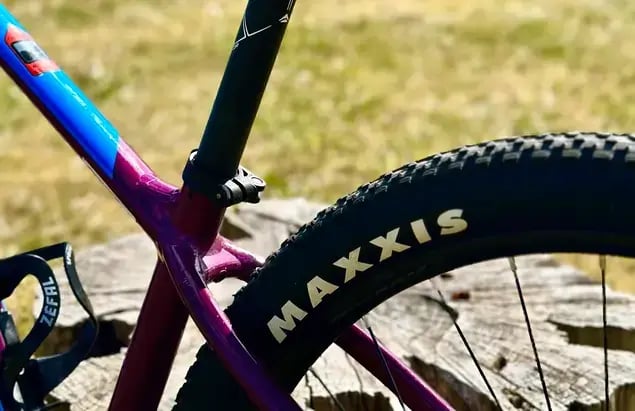 Location HARDTAIL MOUNTAIN BIKE - 4