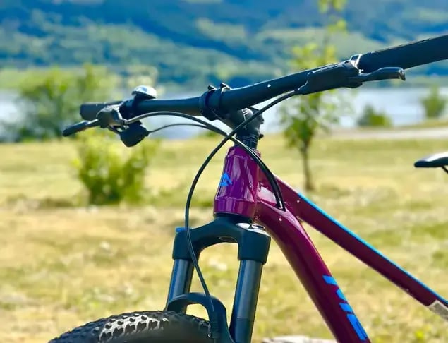 Aluguel de HARDTAIL MOUNTAIN BIKE - 1