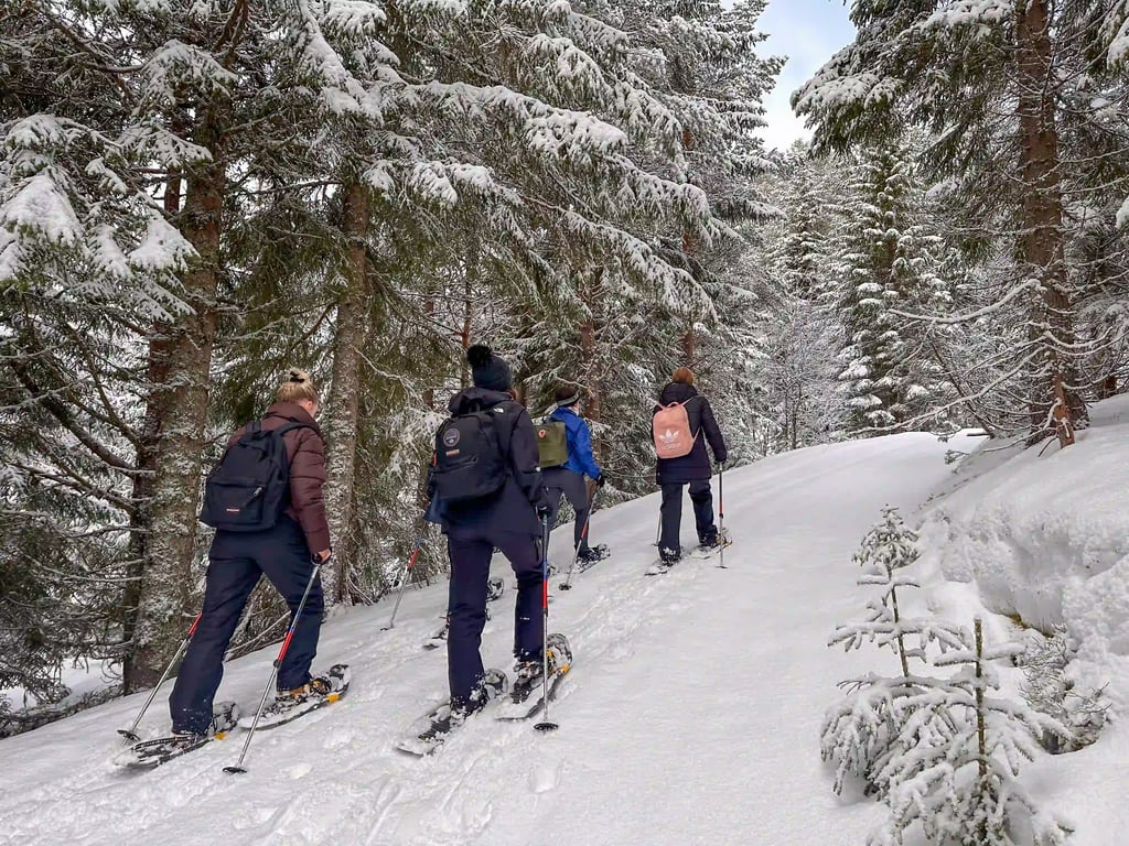 Snowshoeing through a snowy forest