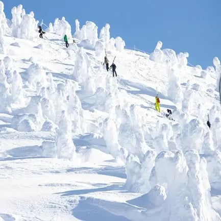 Ski Adventures in Norway & Cultural Immersion