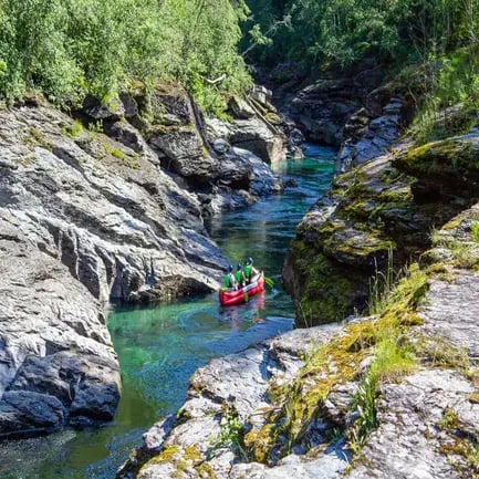 The Intersection of Adventure and Nature Enthusiasm