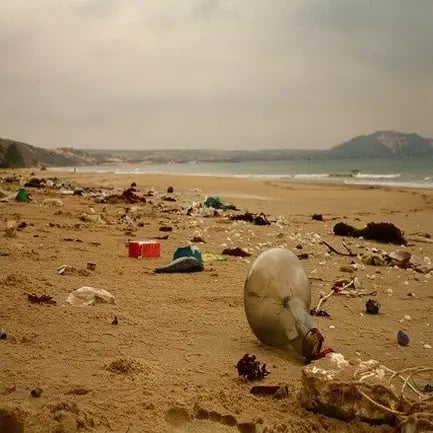 Reckless travelling and its environmental impact