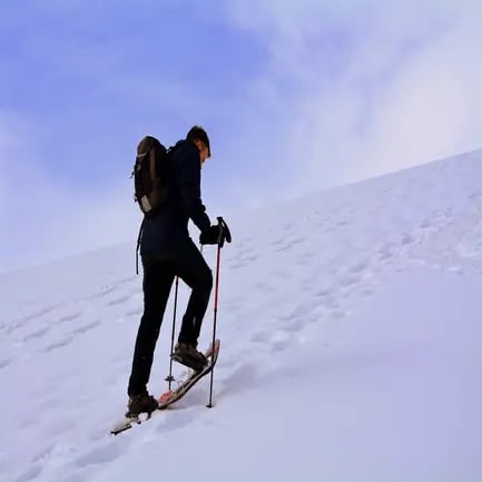 Snowshoe tour a beginners guide