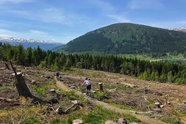 Improve your mountain biking technique