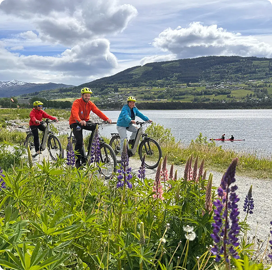 MTB rides in the Fjords of Norway