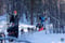 Dogsledding in Gargia Valley