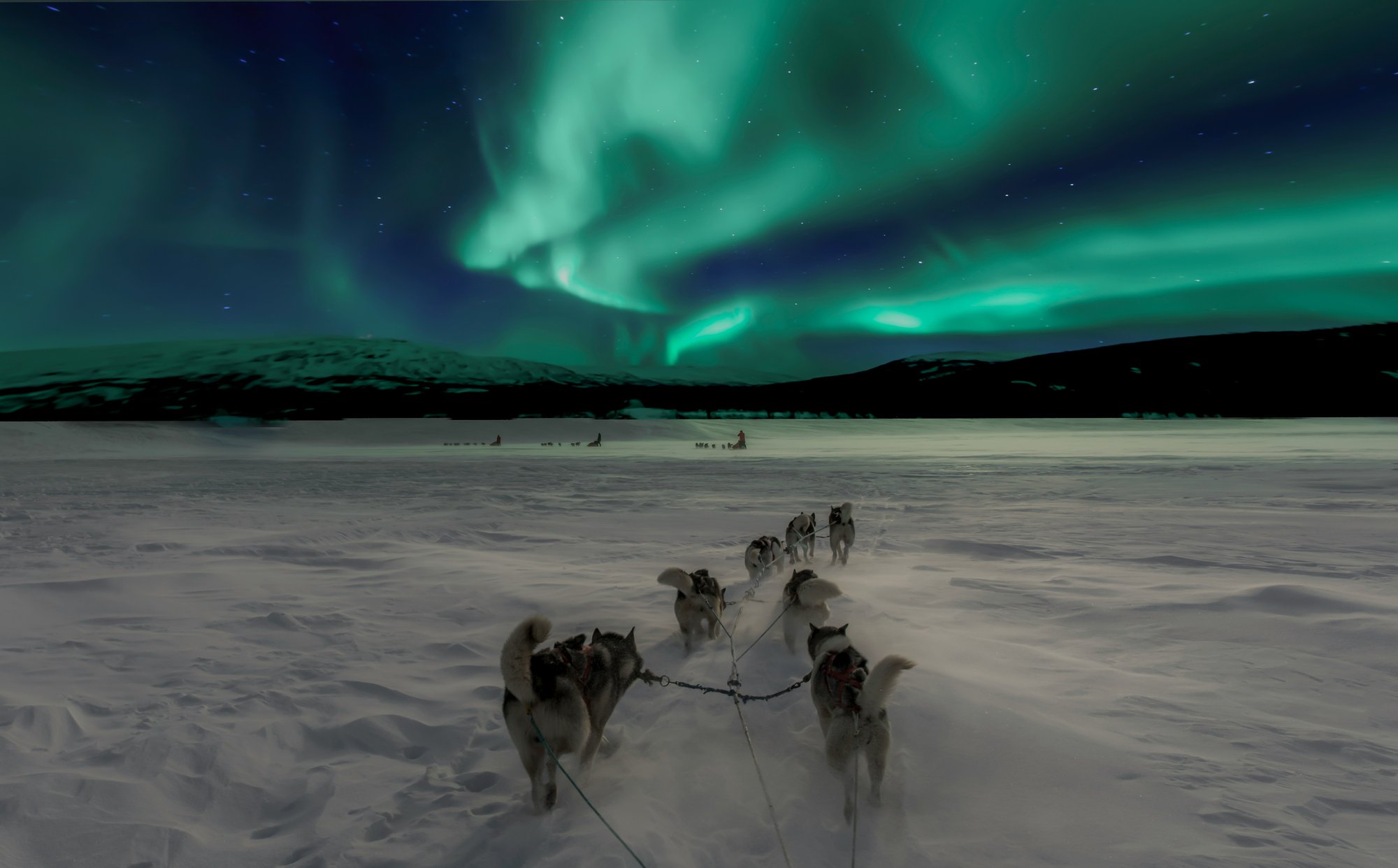 dogsledding-under-northern-lights-norway