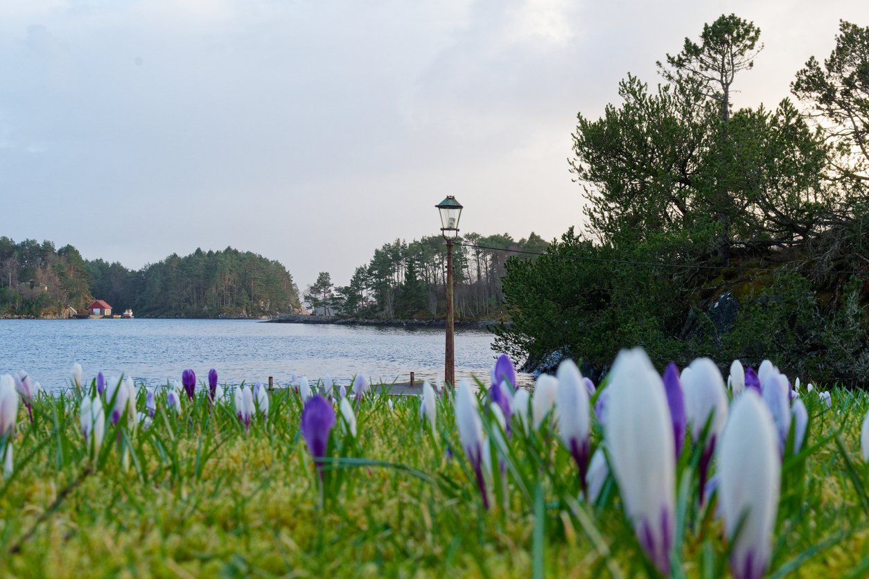 A fjord in the springtime near Bergen, Norway